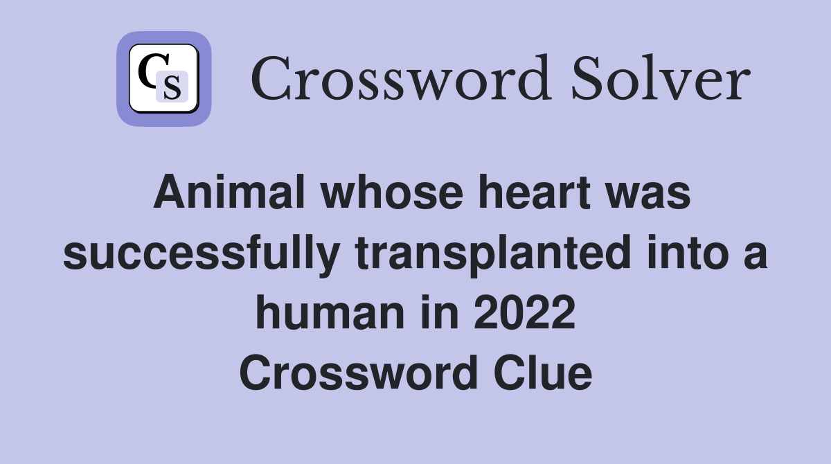 Animal whose heart was successfully transplanted into a human in 2022 Crossword Clue