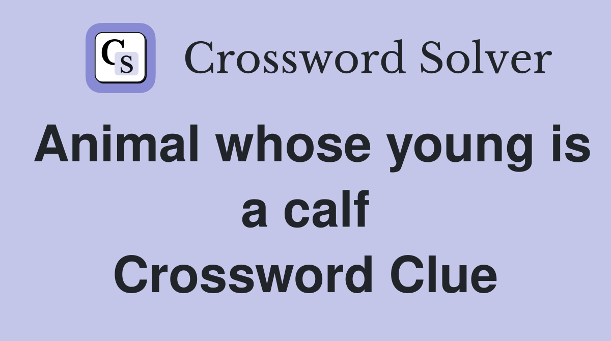 Animal whose young is a calf Crossword Clue