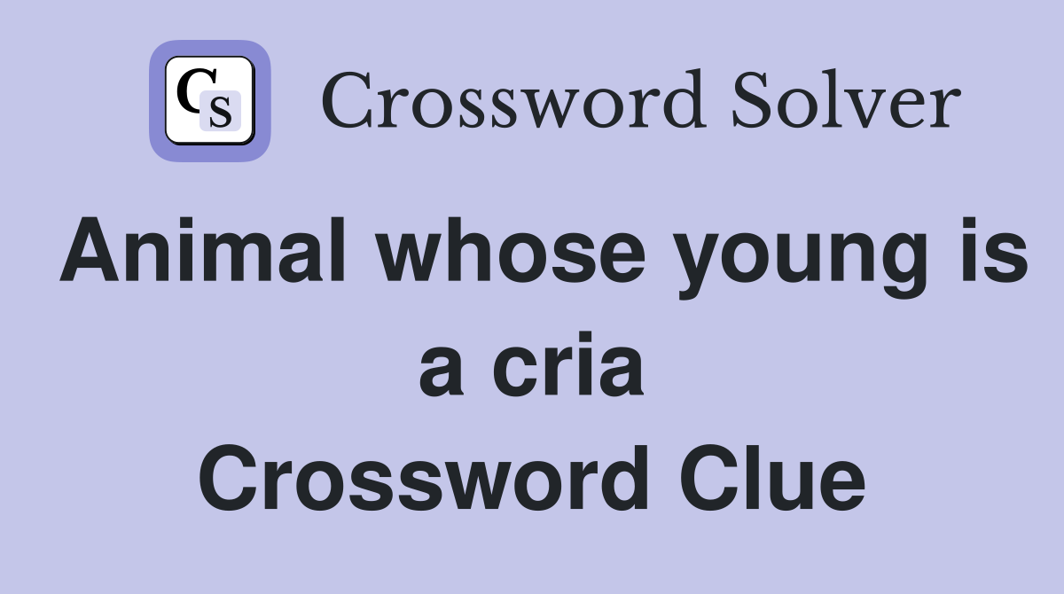 Animal whose young is a cria Crossword Clue