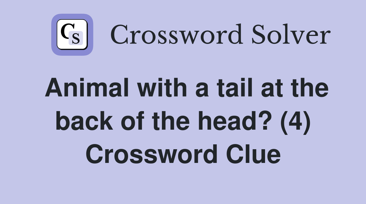 Animal with a tail at the back of the head? (4) Crossword Clue
