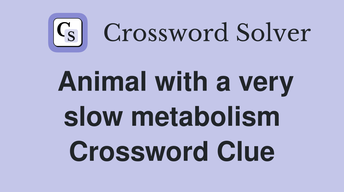 Animal with a very slow metabolism Crossword Clue