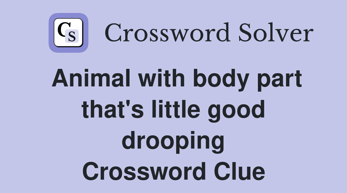 Animal with body part that's little good drooping Crossword Clue