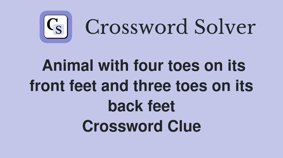 Animal with four toes on its front feet and three toes on its back feet Crossword Clue