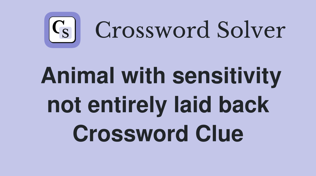 Animal with sensitivity not entirely laid back Crossword Clue