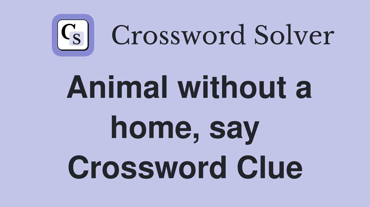 Animal without a home, say Crossword Clue