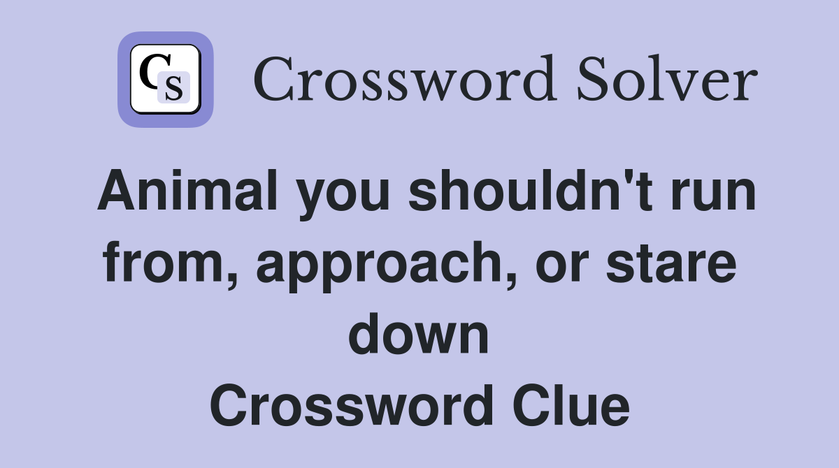 Animal you shouldn't run from, approach, or stare down Crossword Clue