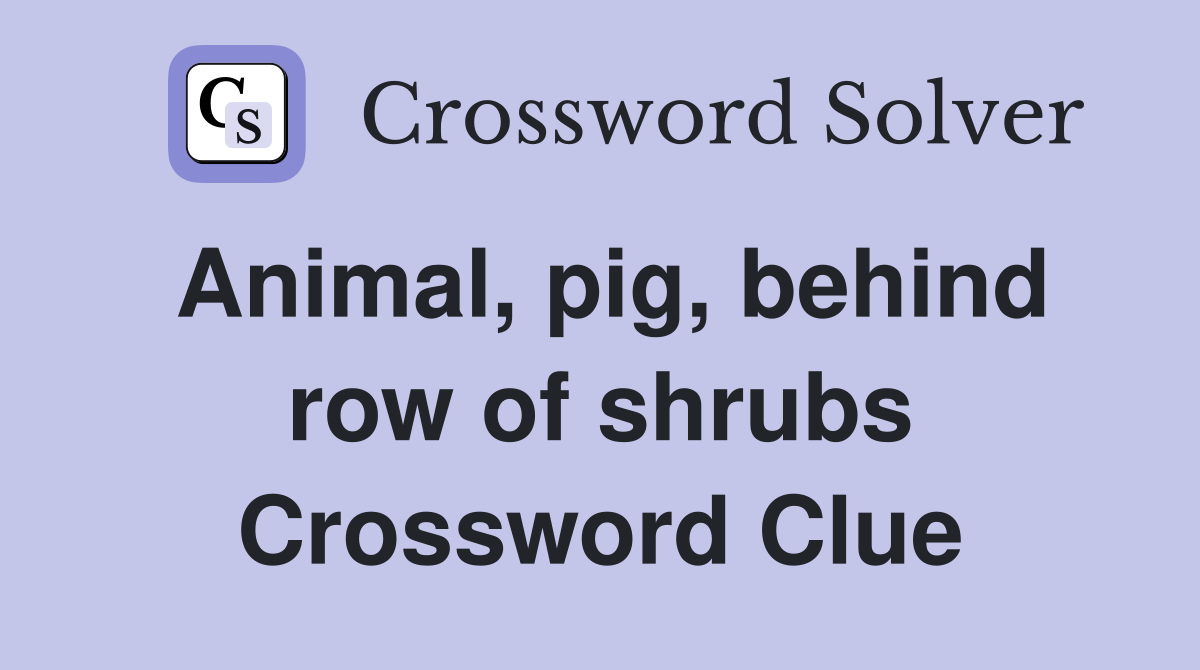 Animal, pig, behind row of shrubs Crossword Clue