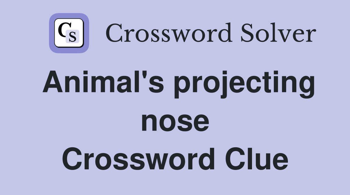Animal's projecting nose Crossword Clue