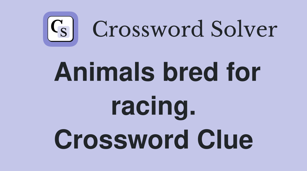 Animals bred for racing. Crossword Clue
