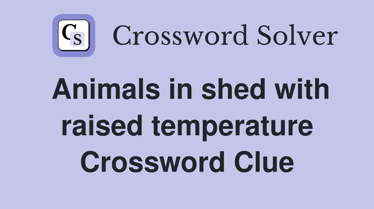 Animals in shed with raised temperature Crossword Clue
