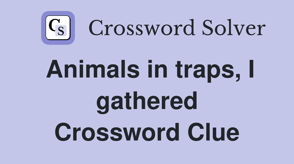 Animals in traps, I gathered Crossword Clue