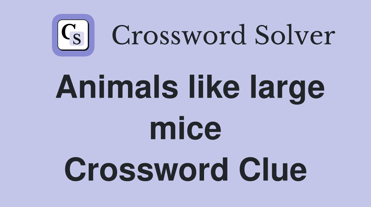 Animals like large mice Crossword Clue