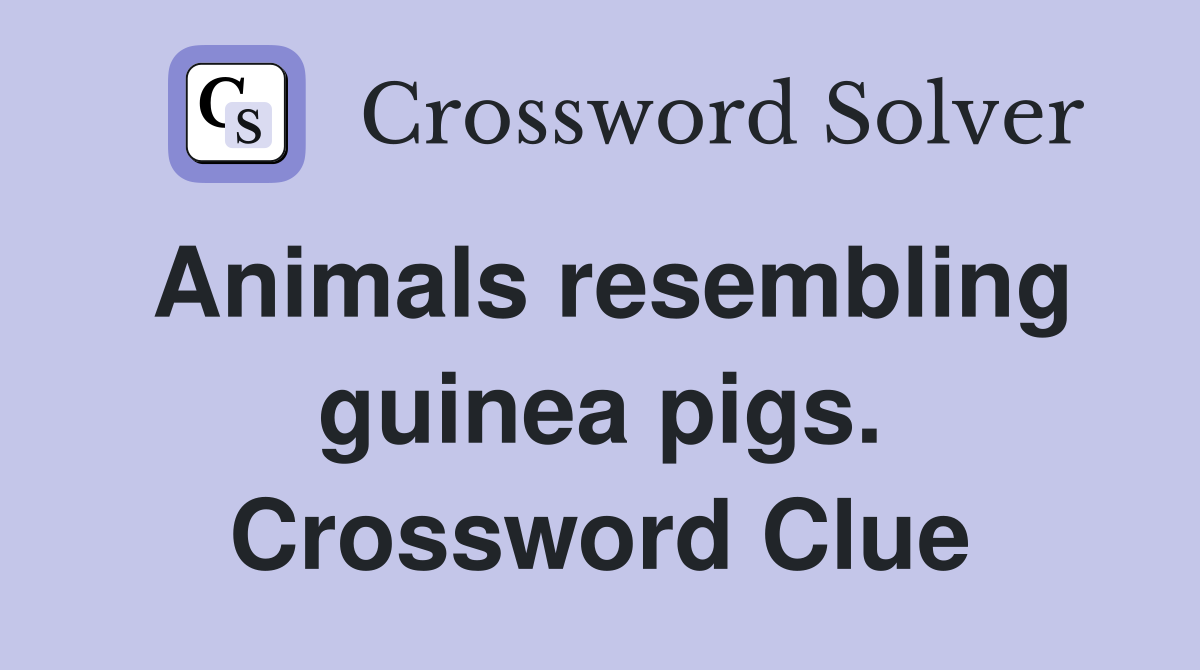 Animals resembling guinea pigs. Crossword Clue
