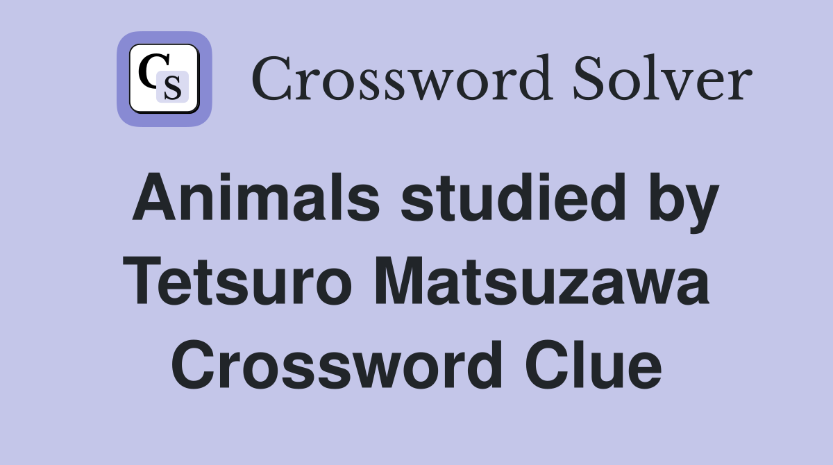 Animals studied by Tetsuro Matsuzawa Crossword Clue