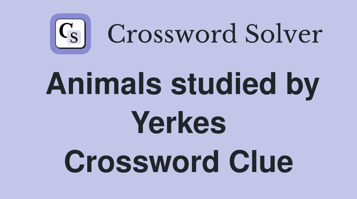 Animals studied by Yerkes Crossword Clue