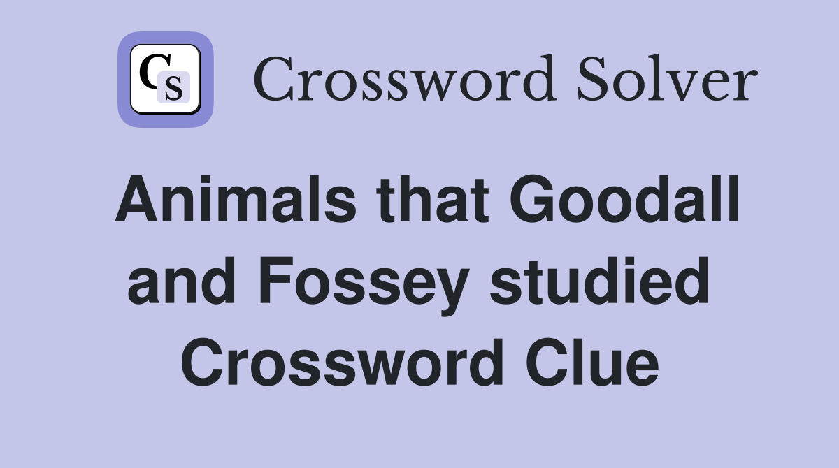 Animals that Goodall and Fossey studied Crossword Clue