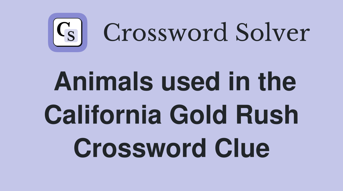 Animals used in the California Gold Rush Crossword Clue