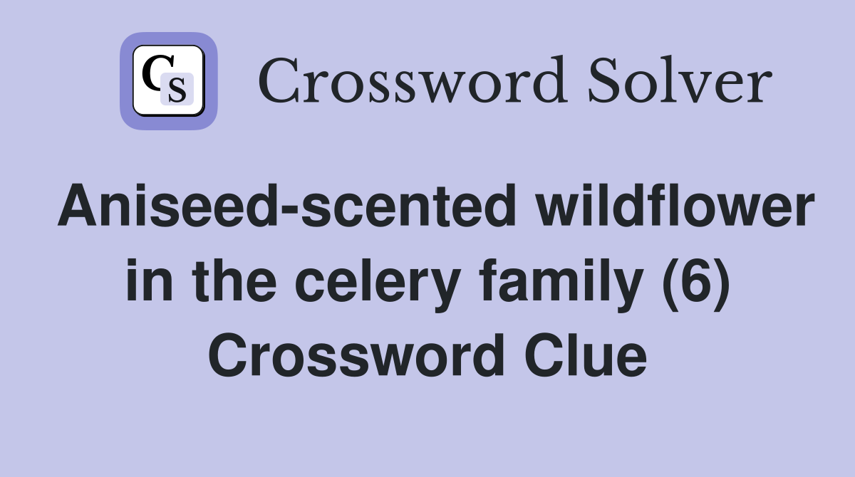 Aniseed-scented wildflower in the celery family (6) Crossword Clue