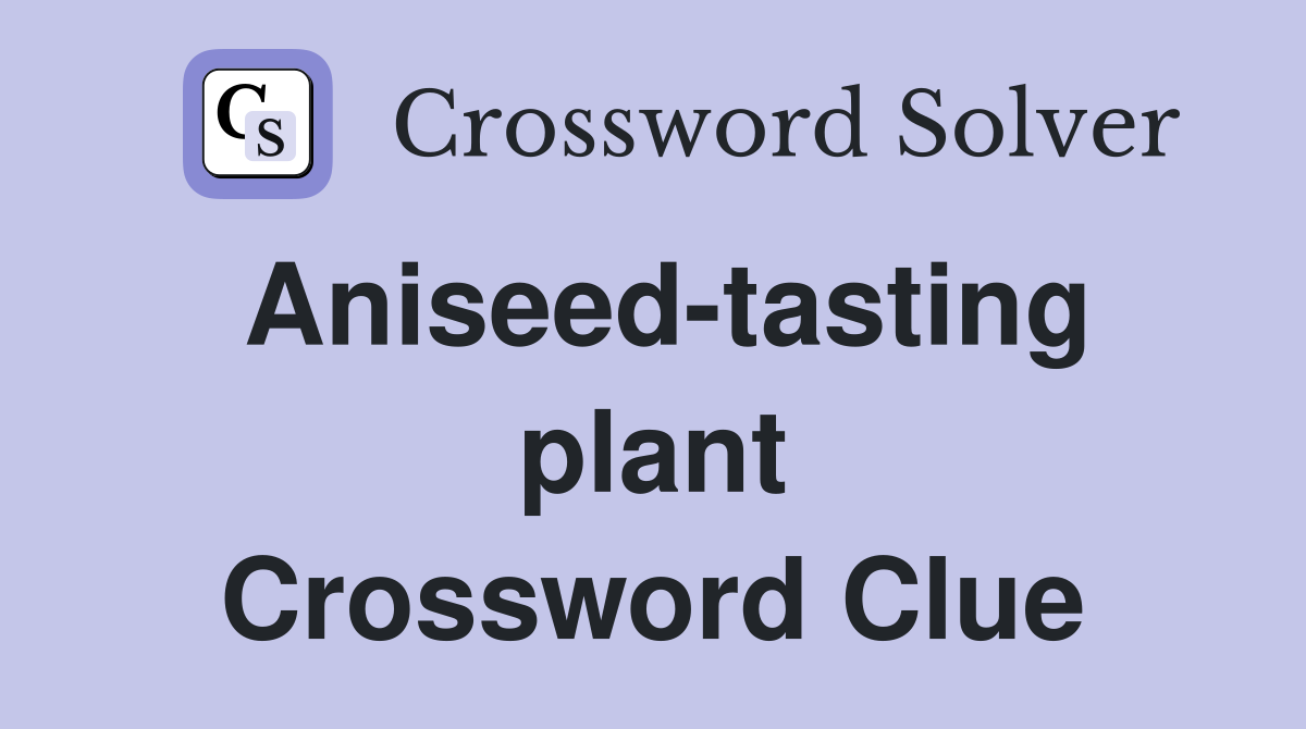 Aniseed-tasting plant Crossword Clue