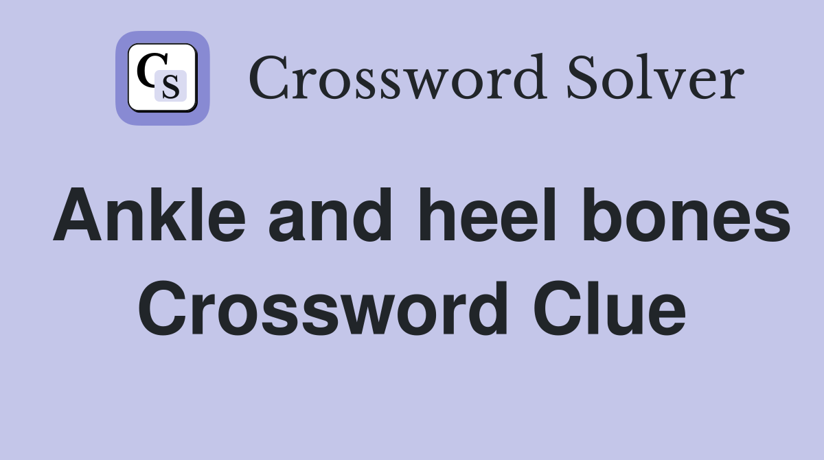 Ankle and heel bones Crossword Clue