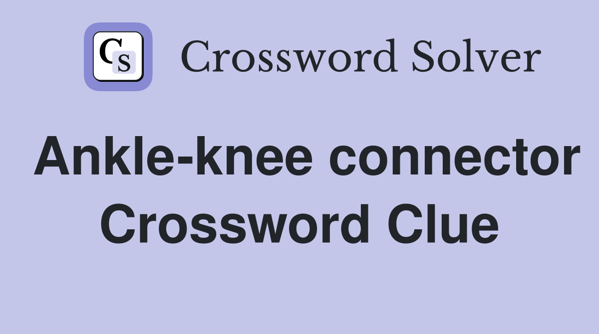 Ankle-knee connector Crossword Clue