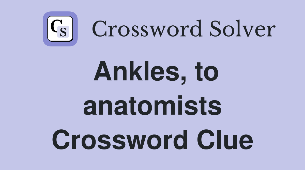 Ankles, to anatomists Crossword Clue