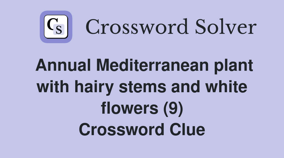 Annual Mediterranean plant with hairy stems and white flowers (9) Crossword Clue