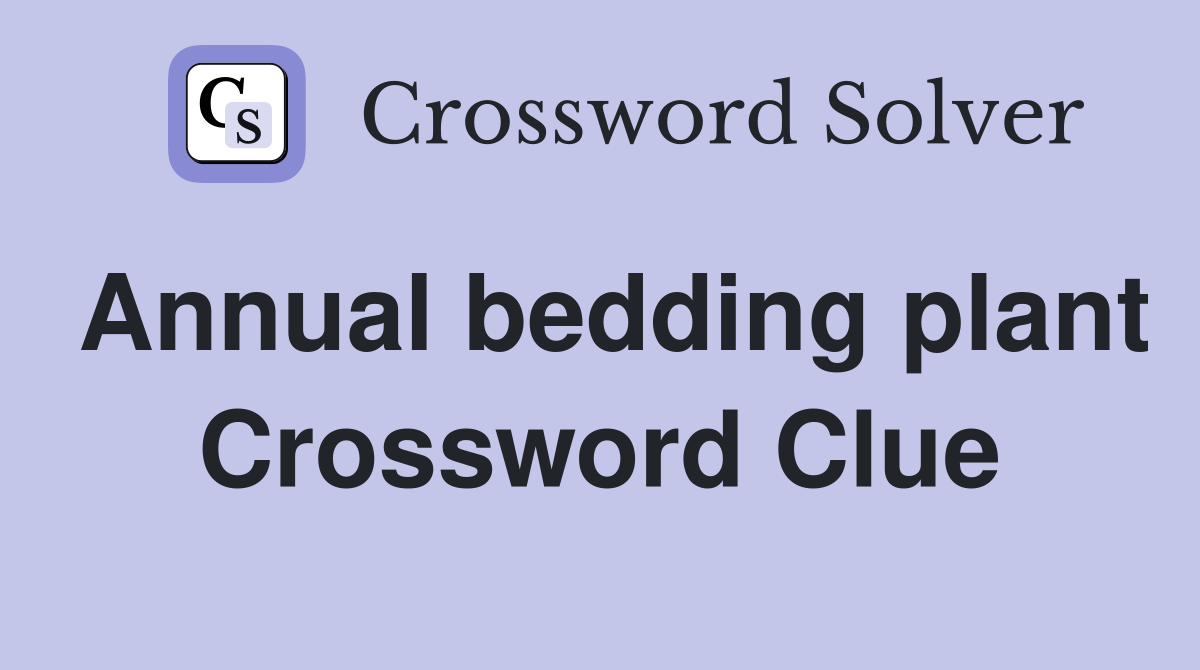 Annual bedding plant Crossword Clue