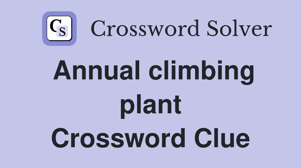 Annual climbing plant Crossword Clue