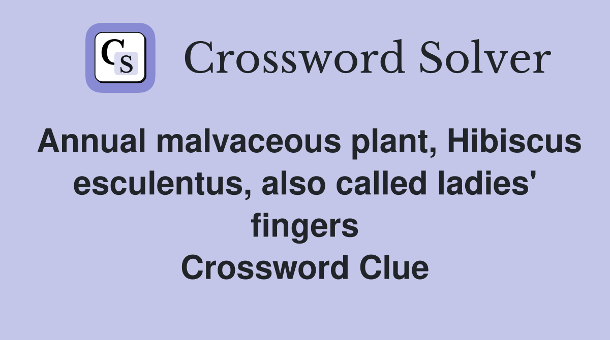 Annual malvaceous plant, Hibiscus esculentus, also called ladies' fingers Crossword Clue