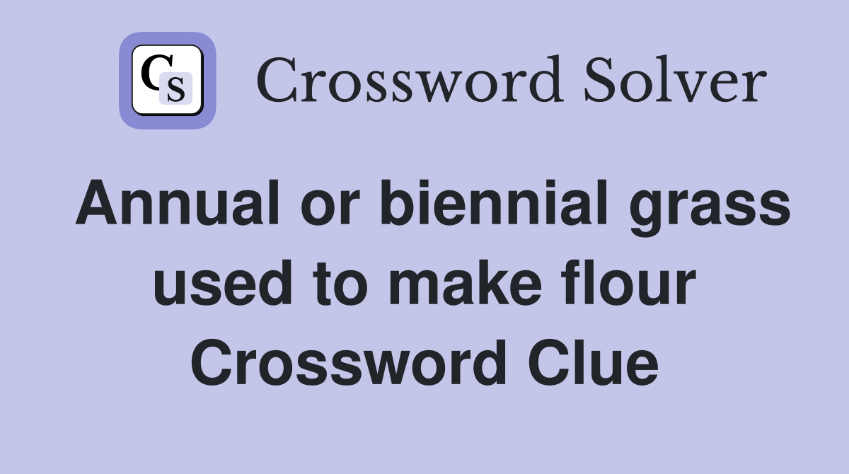 Annual or biennial grass used to make flour Crossword Clue