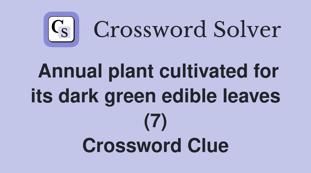 Annual plant cultivated for its dark green edible leaves (7) Crossword Clue