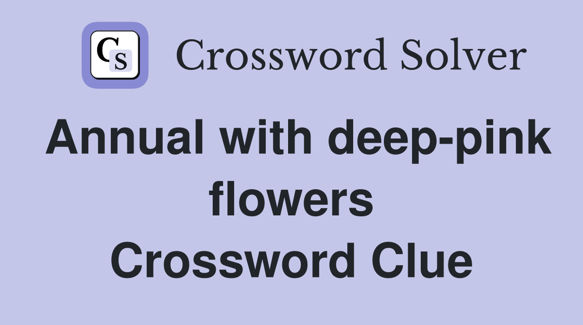 Annual with deep-pink flowers Crossword Clue