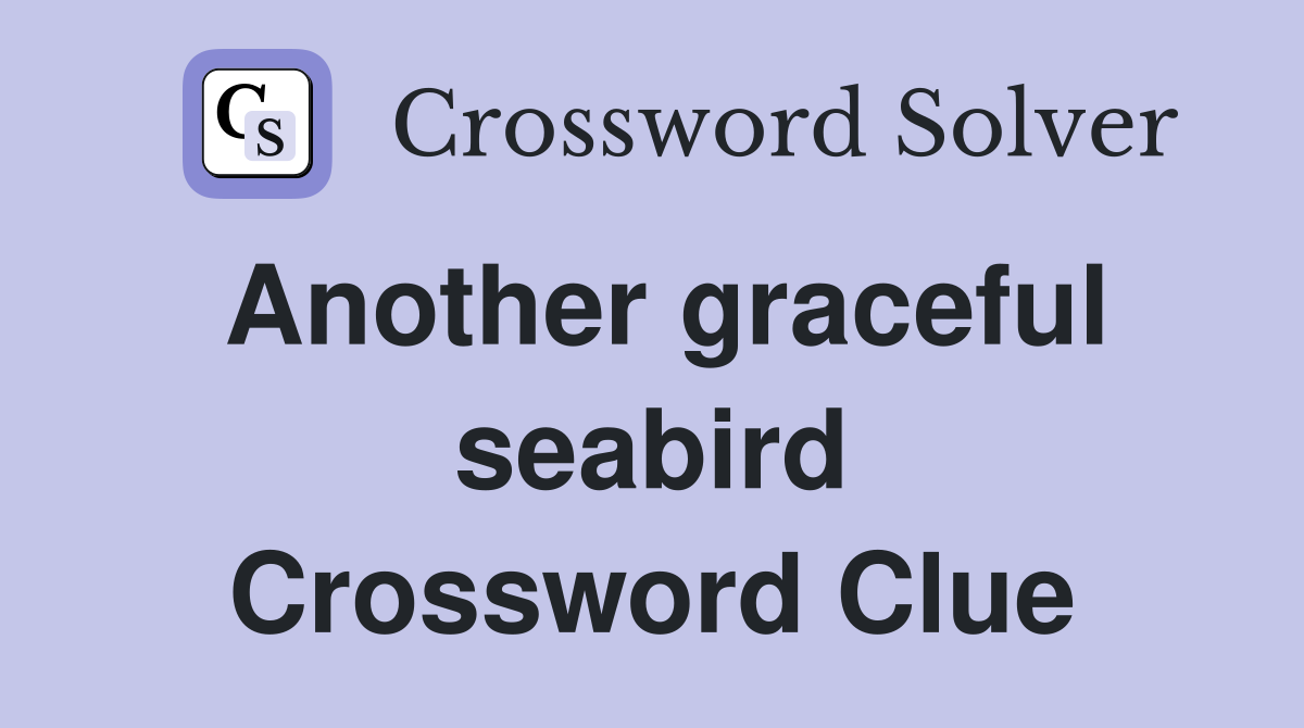 Another graceful seabird Crossword Clue