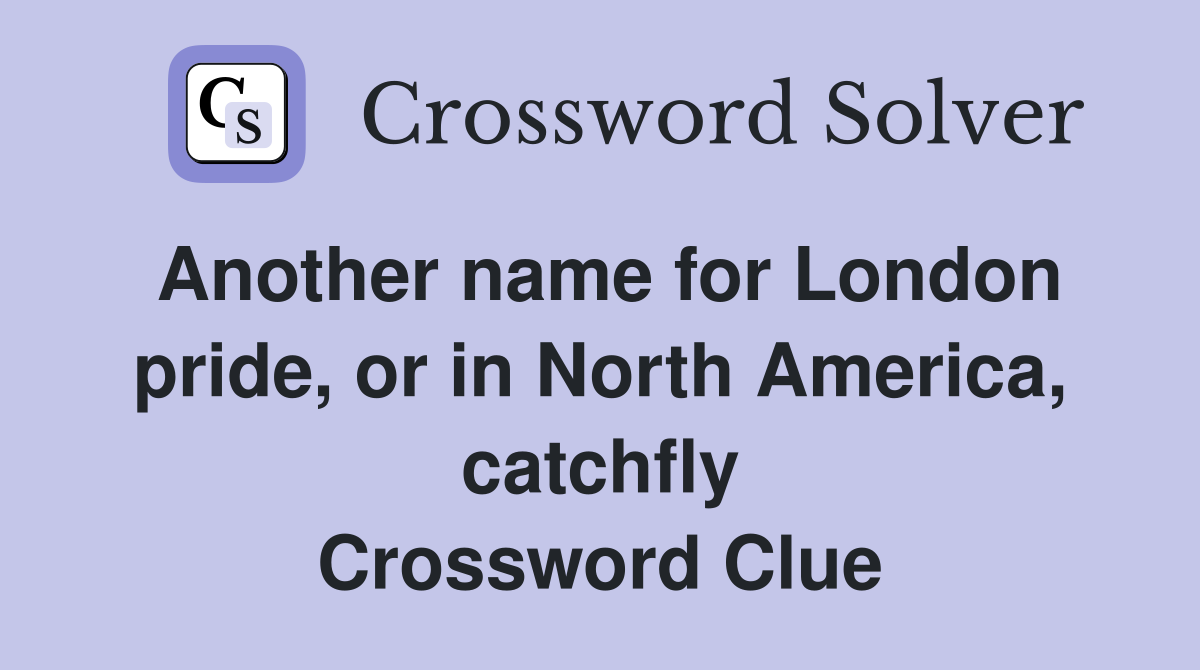 Another name for London pride, or in North America, catchfly Crossword Clue