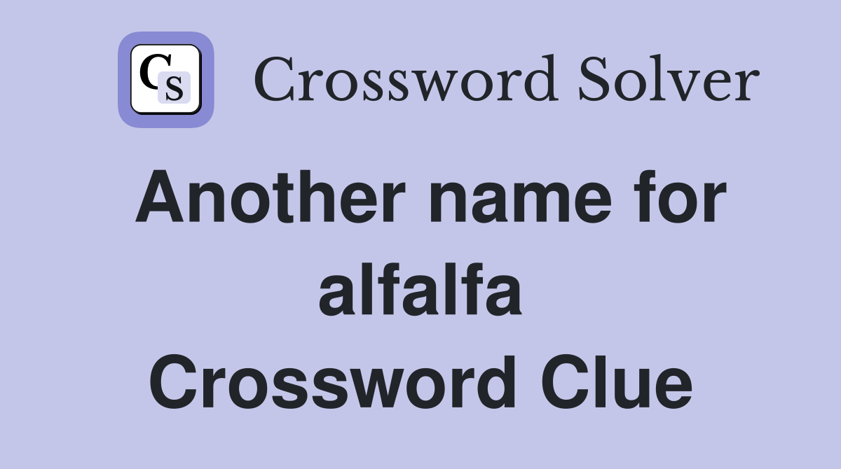Another name for alfalfa Crossword Clue