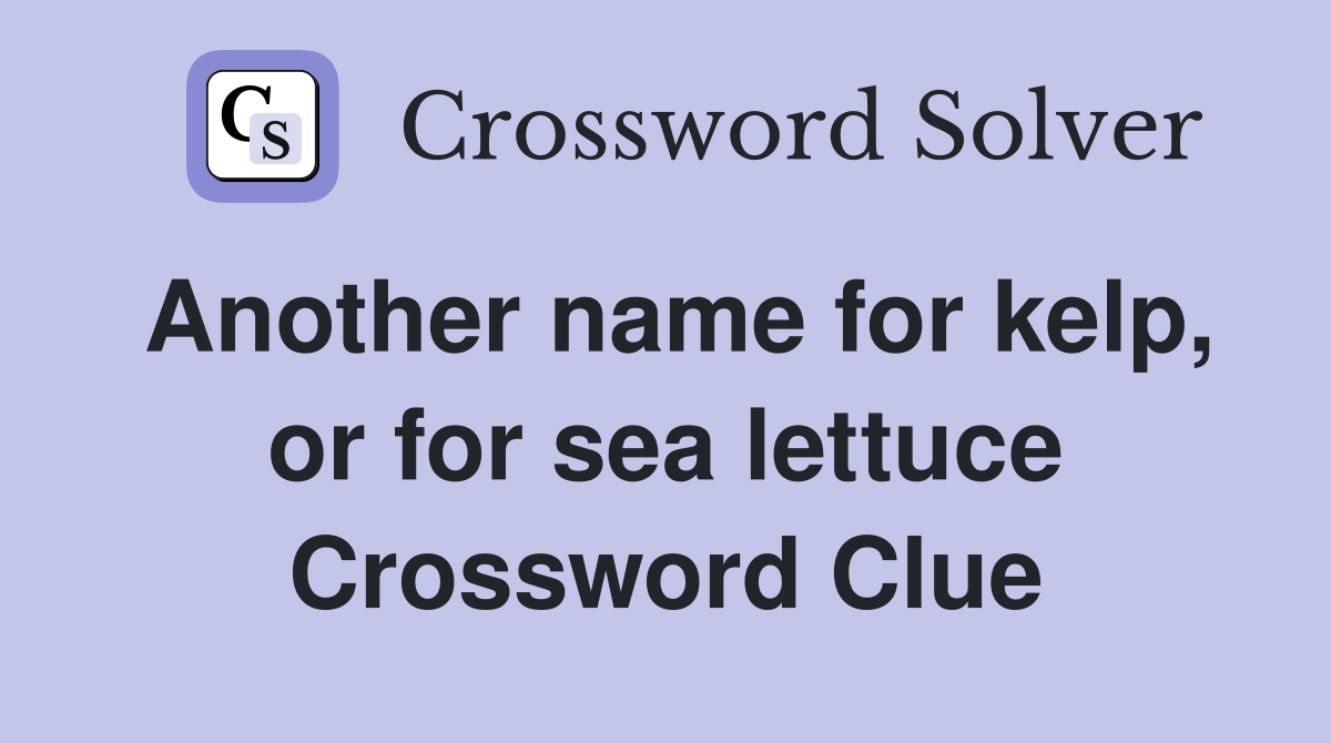 Another name for kelp, or for sea lettuce Crossword Clue