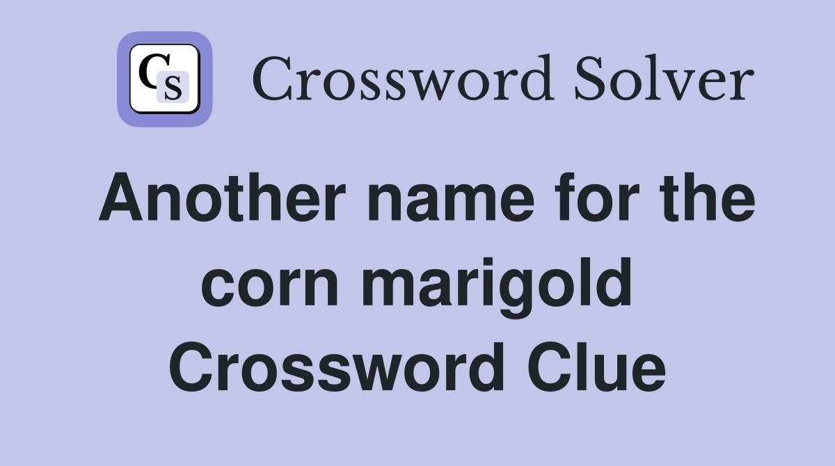 Another name for the corn marigold Crossword Clue