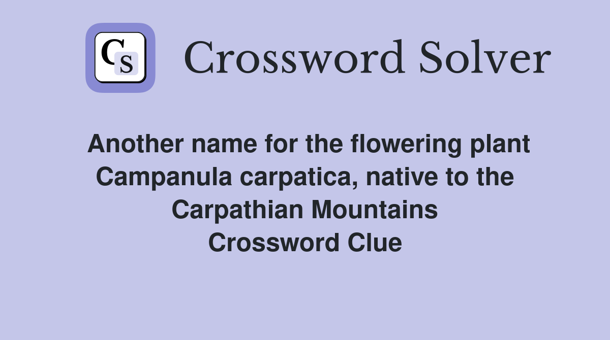 Another name for the flowering plant Campanula carpatica, native to the Carpathian Mountains Crossword Clue