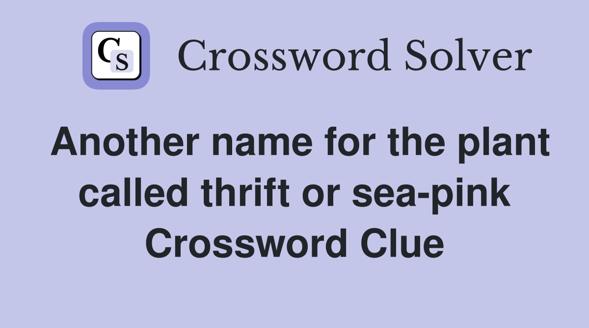 Another name for the plant called thrift or sea-pink Crossword Clue