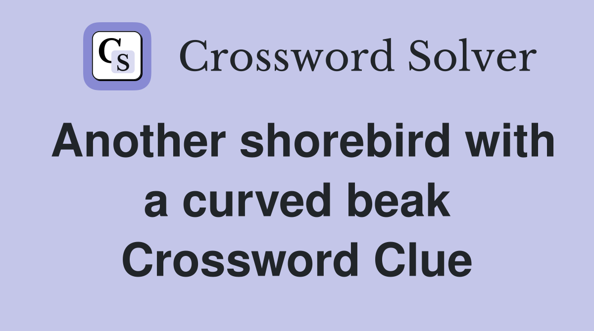 Another shorebird with a curved beak Crossword Clue