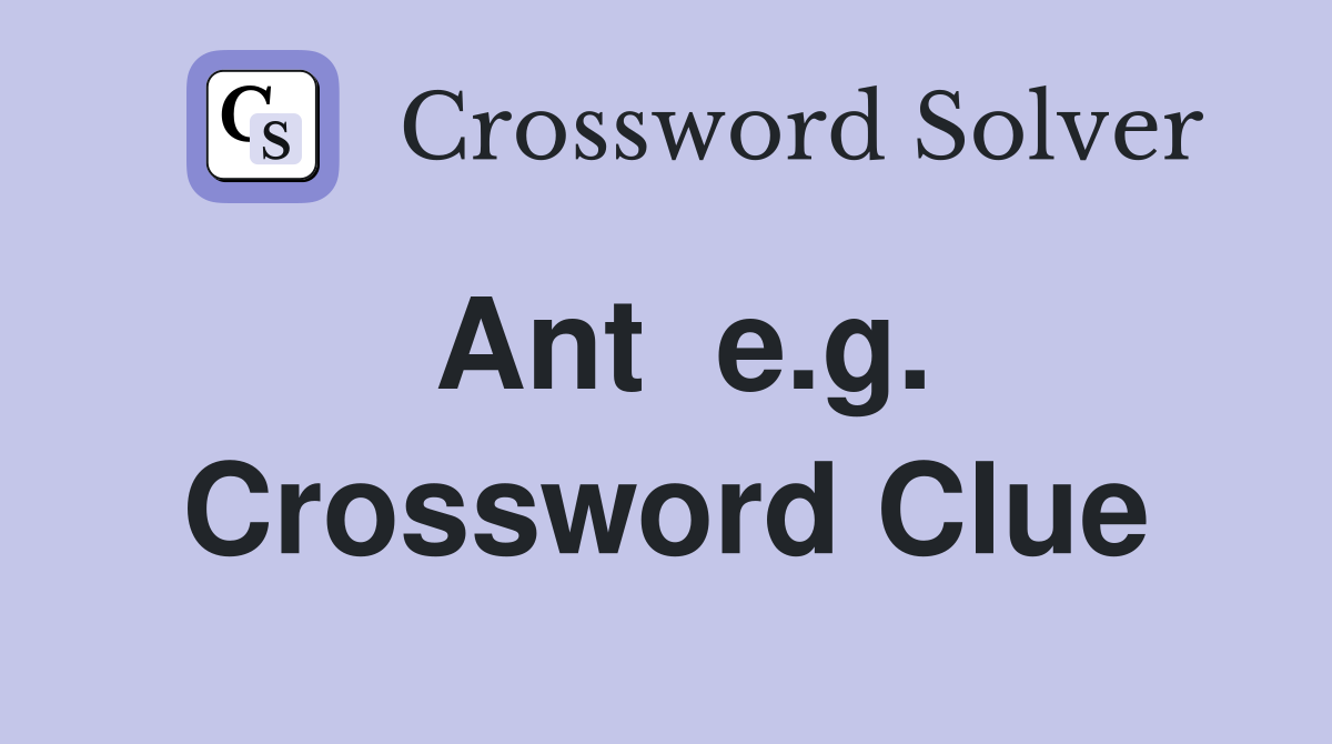 Ant  e.g. Crossword Clue