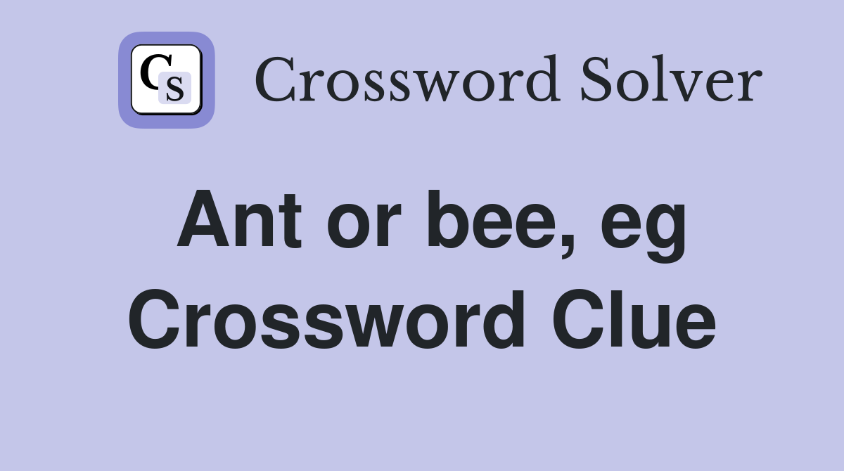Ant or bee, eg Crossword Clue