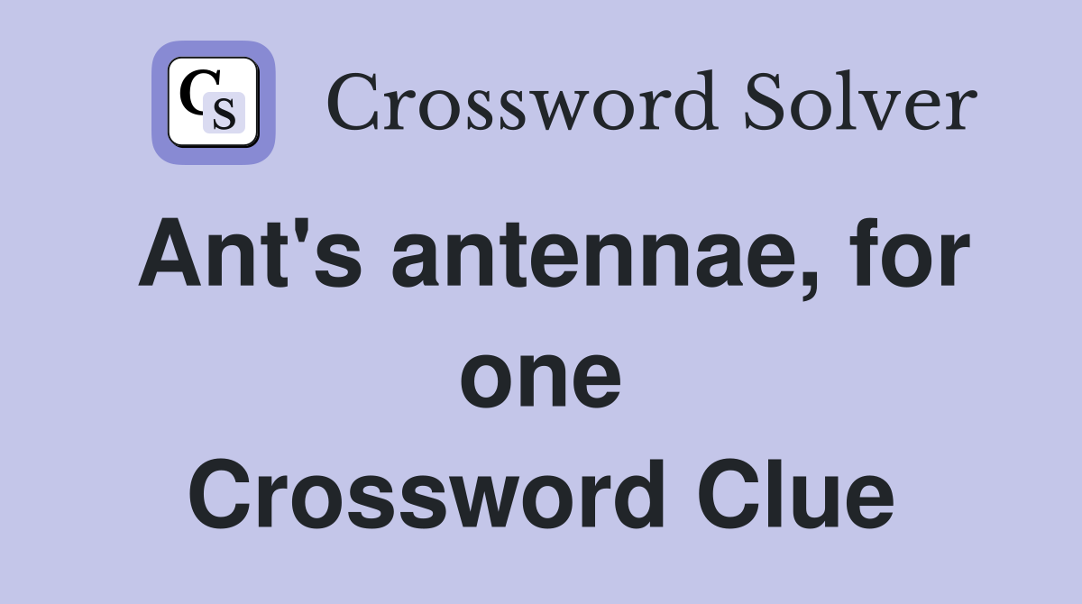 Ant's antennae, for one Crossword Clue