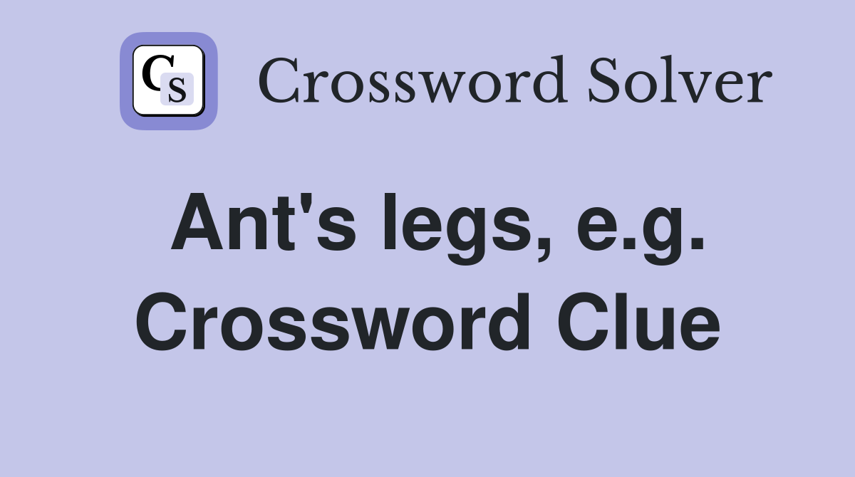Ant's legs, e.g. Crossword Clue