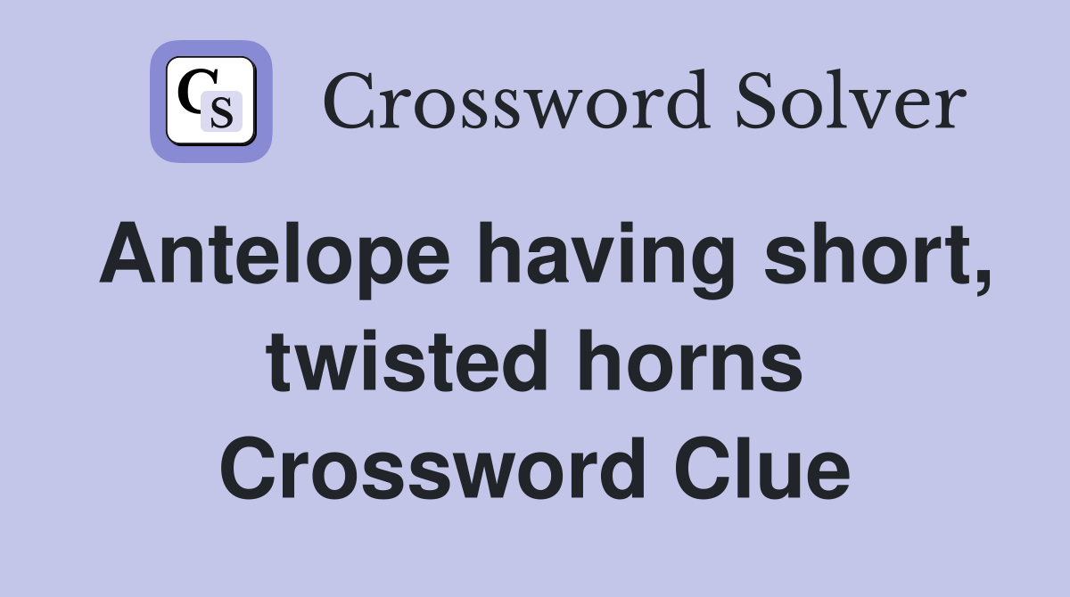 Antelope having short, twisted horns Crossword Clue