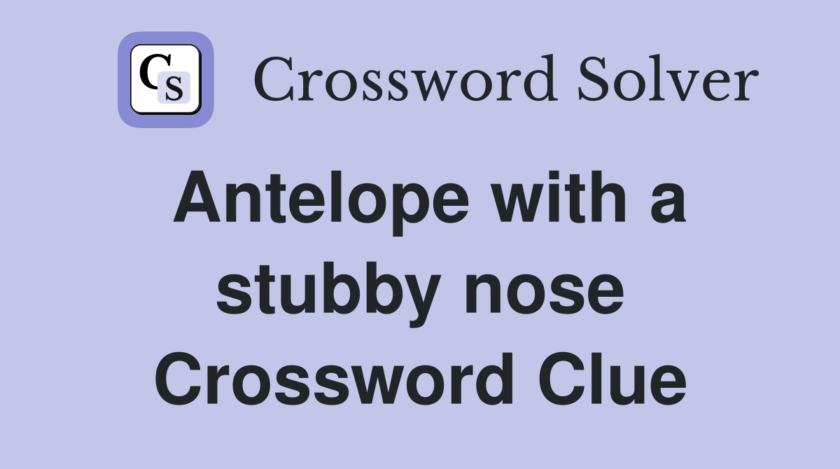 Antelope with a stubby nose Crossword Clue