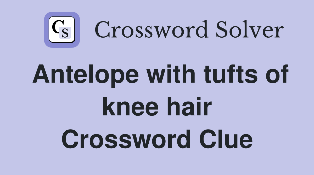 Antelope with tufts of knee hair Crossword Clue