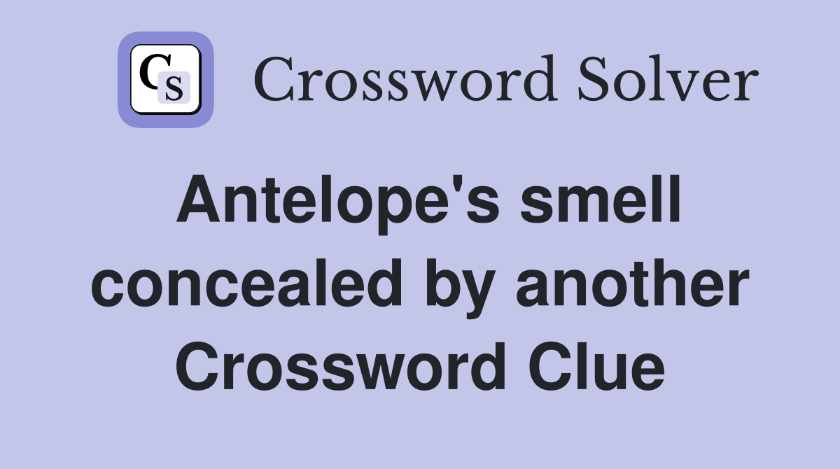 Antelope's smell concealed by another Crossword Clue