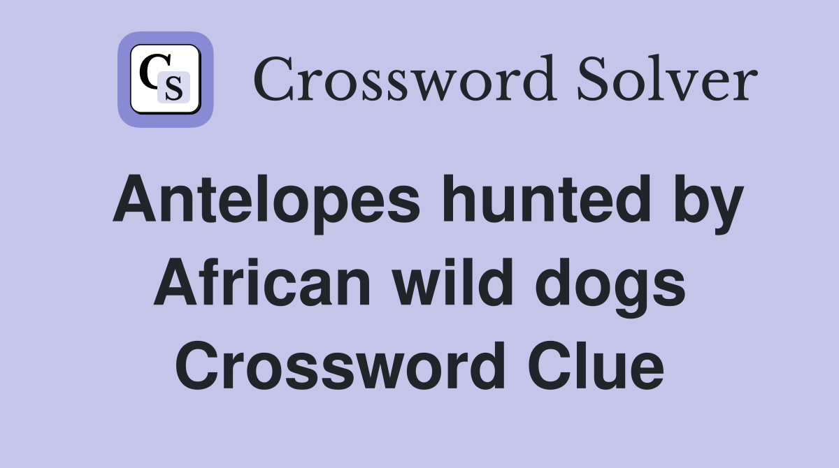 Antelopes hunted by African wild dogs Crossword Clue